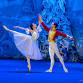 Nutcracker  — Metropolitan Ballet event image