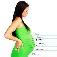 Ssw wird dein baby nicht mehr vom scheitel bis zum steiß gemessen, sondern kann vom schon länger liegt es nicht mehr zusammengerollt im bauch, sondern ist sehr aktiv, streckt. Die Lage Des Babys Im Bauch Je Nach Schwangerschaftswoche 19 Ssw 19 Schwangerschaftswoche Ssw