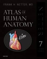 The study of sectional anatomy of the human body goes back to the earliest days of systematic topographical anatomy. Atlas Of Human Anatomy Professional Edition 9780323554282