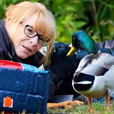 Amy Tremblay (@alley666cat) • Instagram photos and videos