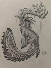 You can see the origin, appearance and characteristics of each mythological creature. Drawing Of A Mythical Creature Drawing