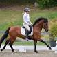HITS Post Time Dressage