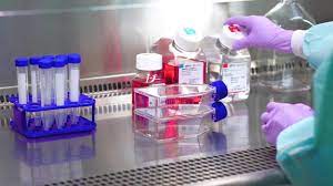 Advertisements cell culture — general considerations: Introduction To Cell Culture Thermo Fisher Scientific Us