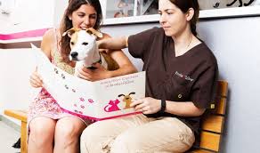 Dog & cat rescue & adoption center on long island please help us in our mission to save as many wonderful pets as we can and find them their deserving furever homes. Dog Adoption Event Events Long Island City Partnership