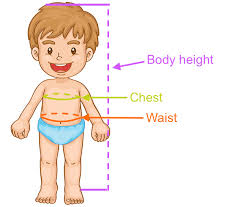 baby toddler swimwear size chart