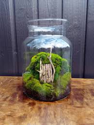 Terrarium Pour Hobbit Brindillesetricochets Over Blog Com Idees Terrariums Terrariums Diy Vases En Verre Transparent