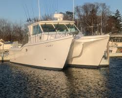 Lake Erie Fishing Charters for Walleye & Perch