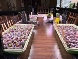 Maybe you would like to learn more about one of these? 45 Watt Led Grow Light Panel Aerogarden