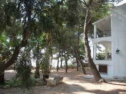 Los huéspedes están de acuerdo: La Spiaggia E L Ascensore Delle Spiaggia Sud Picture Of Hotel Baia Delle Zagare Mattinata Tripadvisor