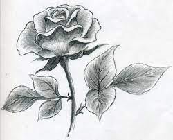 Trandafir desene in creion cu flori from i.pinimg.com. Cum SÄƒ AtragÄƒ Un Trandafir In Creion In Etape Pentru IncepÄƒtori