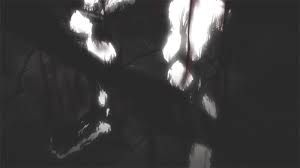 2.7k views # aesthetic# gon freecss# hunter x hunter# anime# anime gif# before gons transformation# chimera ant# chimera ant arc# gif# hunter x 2011# mine#my gifs Log In Tumblr Hunter X Hunter Gon Transformation Transformation Gif Gon Transformation Wallpaper