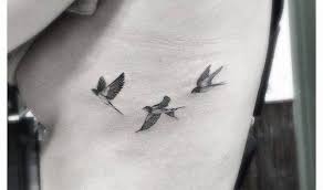 Small Bird With Red Neck And Chest 100 Small Bird Tattoos Design Ideas With Intricate Images Neck Tattoo Small Bird Tattoos Bird Tattoo Ribs