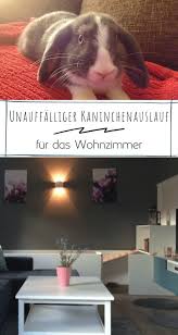 Dem fernsehsender tv2 zufolge waren die haltungsbedingungen ungenügend, die tiere liefen frei in der einzimmerwohnung herum. Kaninchenstall Selber Bauen Bauanleitung Fur Die Wohnung