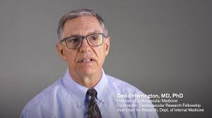 Cardiovascular Research Fellowship: Research Mentorship