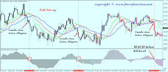 Alligator Trading Yahoo Image Search Results Forexstrategies Trading Quotes Forex Trading Online Trading