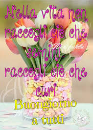 Crea il tuo fotomontaggio fiori bianchi sur pixiz. Immagini Buongiorno Con Fiori E Farfalle