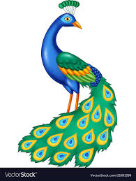 Bird Sitting On Tree Drawing For Kids Cartoon Beautiful Peacock Vector Image On Vectorstock Art Drawings For Kids Peacock Drawing Images Peacock Painting