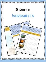 You can use this activity to introduce or reinforce the learning of a dichotomous key. Starfish Facts Information And Worksheets Teaching Resources