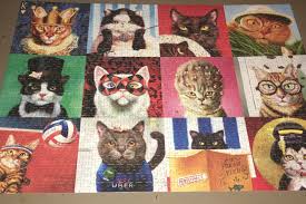 Funny jigsaw puzzles 1000 pieces. Funny Cats 1000 Pcs By Eurographics Will Never Buy This Brand Again All The Pieces Are The Same Shape What Could Have Been A Fun Challenging Puzzle Was A Headache Jigsawpuzzles
