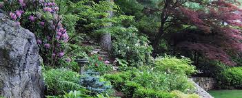 Green Velvet Gardens Holliston Ma Plants Forest Garden Landscape