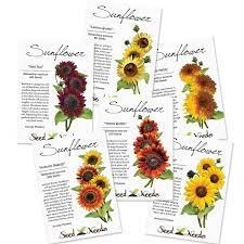Each Sunflower Seed Packet Measures 3 25 X 4 50 In Dimension And Includes A Clear Colorful Illustration On The Front Sunflower Seeds Sunflower Seed Packets