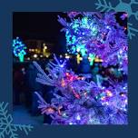 Light Up Hudson - 2026