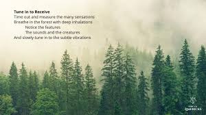 11 Nimble Limericks About Nature King Of Limericks