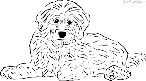 The spruce / wenjia tang take a break and have some fun with this collection of free, printable co. Goldendoodle Coloring Pages Coloringall