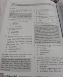 Karena sifatnya yang tidak formal, surat pribadi tersebut tidak memerlukan. Bantu Jawab Ya Kelas 7 Bahasa Indonesia Buku Mandiri Tentang Mengidentifikasi Informasi Dan Brainly Co Id