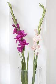 Ask Ella How Gladiolus Takes Bouquets To The Next Level Garden Collage Magazine Bouquet Arrangements Gladiolus Bouquet