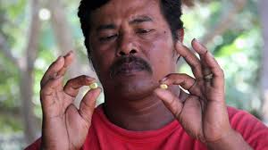 Ayam adalah binatang yang dapat dipelihara dan menjadi peternak yang berguna karena dapat dijadikan sebagai sumber bahan pangan. Mimpi Emas Yang Mengubah Nasib Bbc News