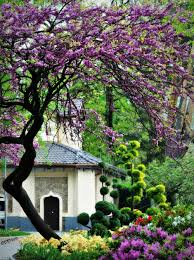 Spectacular Spring Gardens Spring Landscape Beautiful Gardens Purple Flowers Garden