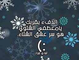 رسائل عن برد الشتاء مضحكة ليدي بيرد