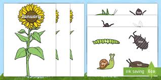 Minibeast Themed Birthday Display Pack Birthday Board