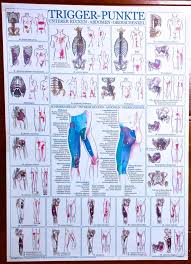 Trigger Point Chart Single