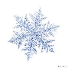 Pencil Drawing Blue Snowflake On White Background This Sketch Based On Macro Photo Of Real Snow Crystal La Snowflakes Drawing Snow Flake Tattoo Snow Crystal