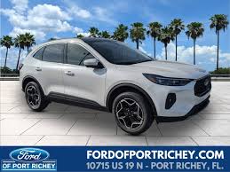 Image result for White Platinum 2013 Escape