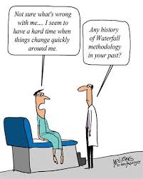 Humor Cartoon What S Wrong With This Business Analyst Business Analyst Humor Business Analyst Manager Humor