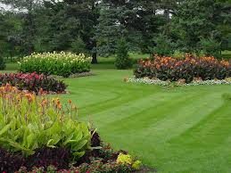 Sep 11, 2020 · current research and general management of imported fire ants in nurseries dr. All Terrain Lawn Service All Terrain Lawn Service