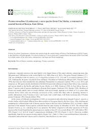 Image result for Premna tanganyikensis