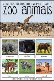 Zoo Animal 3 Part Cards In 2020 Zoo Animals Zoo Activities Baby Zoo Animals