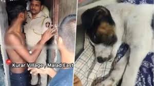 इंसानियत शर्मसार: मुंबई में 2 महीने के मासूम पिल्ले के साथ दरिंदगी