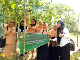 Berikut adalah rangkaian hut dharma wanita persatuan its saat menyanyikan hymne dan mars dharma wanita persatuan. Ketua Dwp Dinkominfo Muba Kunjungi Kebun Abdul Kalim Sumsel Update