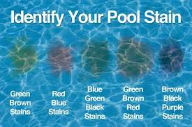 Our powerful products remove algae stains without draining or acid washing. How To Identify And Remove Pool Stains