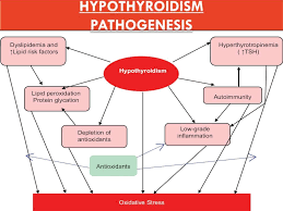 It frequently results in and is the most common cause of hyperthyroidism. Hypothyroidism Diffuse Toxic Goiter Graves Disease Basedow Disease Online Presentation