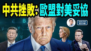 2023年07月20日星期四L&H Financial Lee Zhang