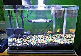 Jika mau memilih bisa langsung datang ke toko fisik kami. Perlengkapan Aquarium Ikan Hias Dan Fungsinya Lengkap Hobinatang