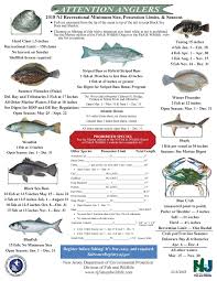 Nj Saltwater Fisherman Your 1 Source For Fishing In Nj