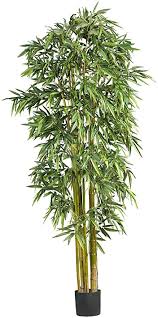82,722 likes · 8 talking about this. Amazon Com Nearly Natural 7 Big Bamboo Silk Artificial Trees 84in Green Home Kitchen