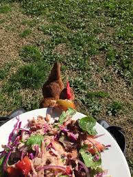 This was definitely one of my favorite food weeks in a long time. Week 2 Review On The 8 Week Blood Sugar Diet The Healthy Gut